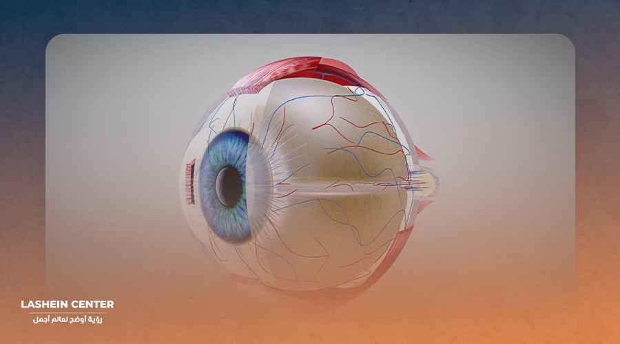 عمليات و امراض الشبكية